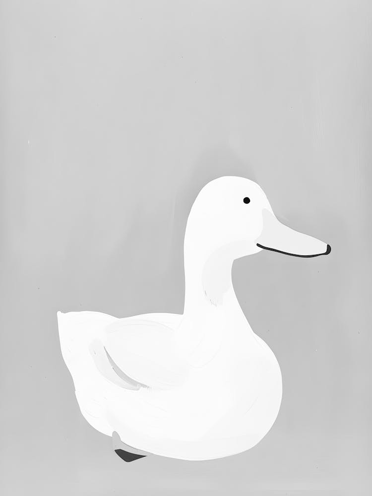 White Duck