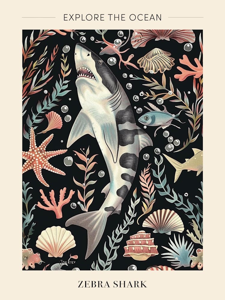 Zebra Shark Seascape Black Background Illustration 1 Poster