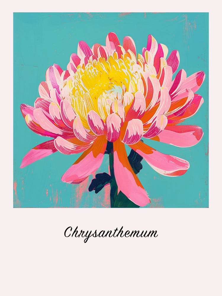 Chrysanthemum 1 Square Flower Illustration Poster