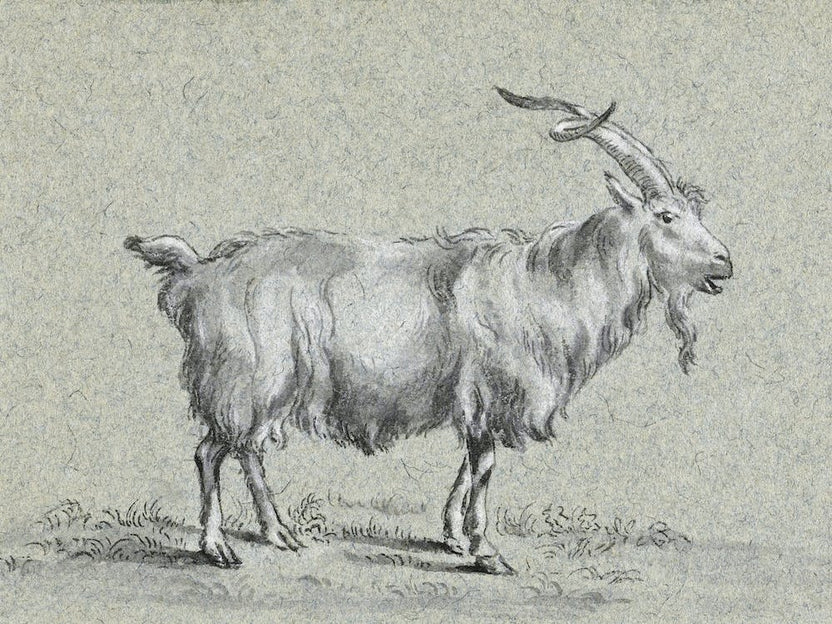 Standing Goat, Jean Bernard