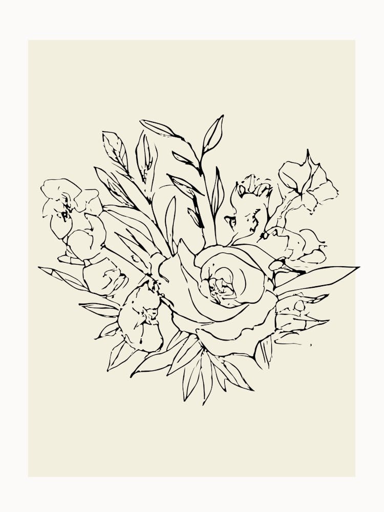 Botanica line no 65