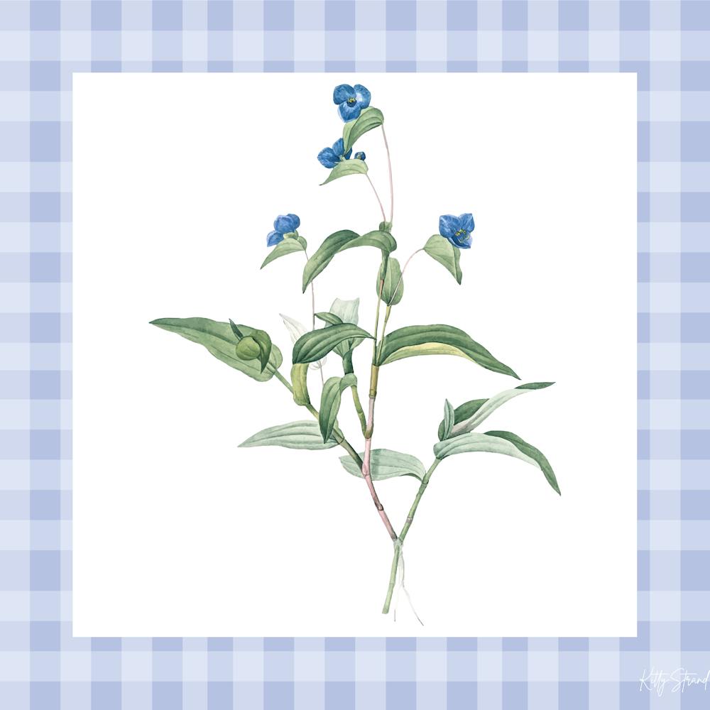 Bluebells | Baby blue gingham