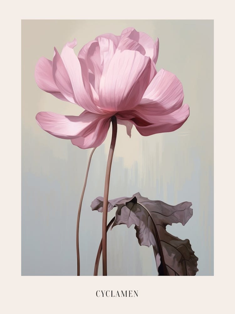 Floral Illustration Cyclamen 2 Poster