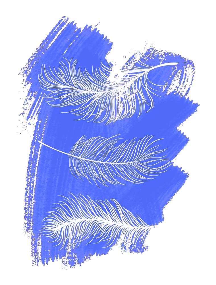 Blue Feathers