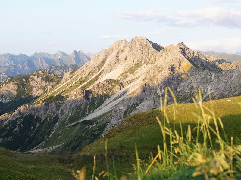 Mountain View 8