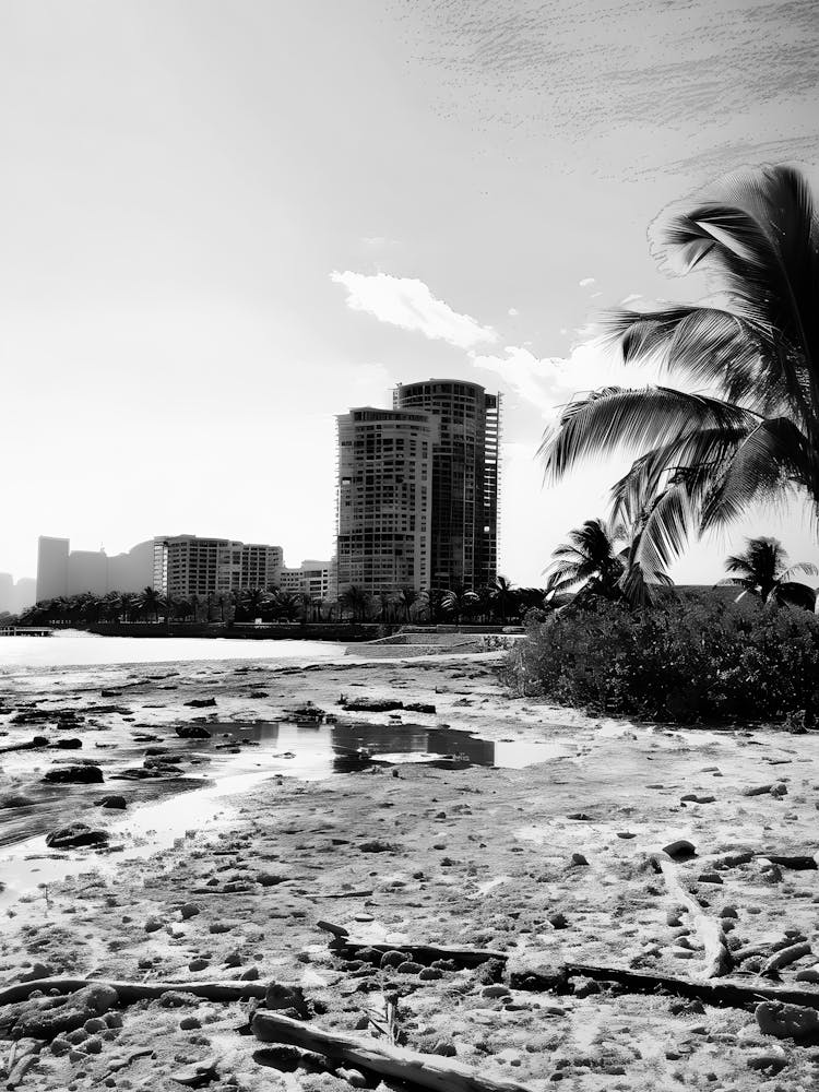 Hawaii Beach