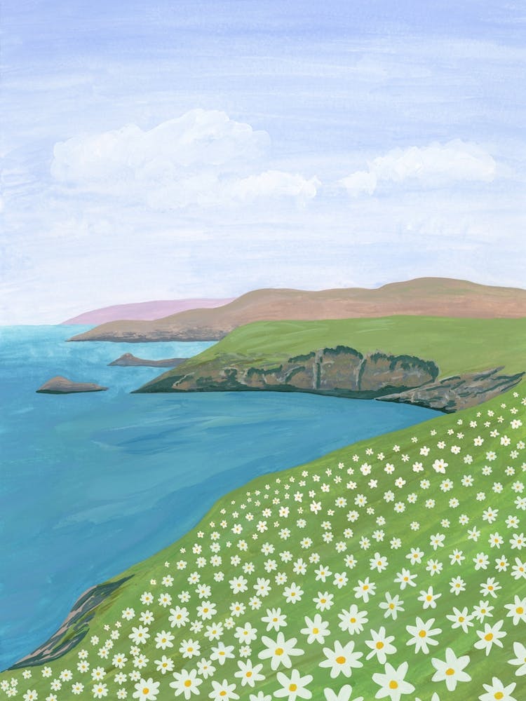 Daisies by the Sea