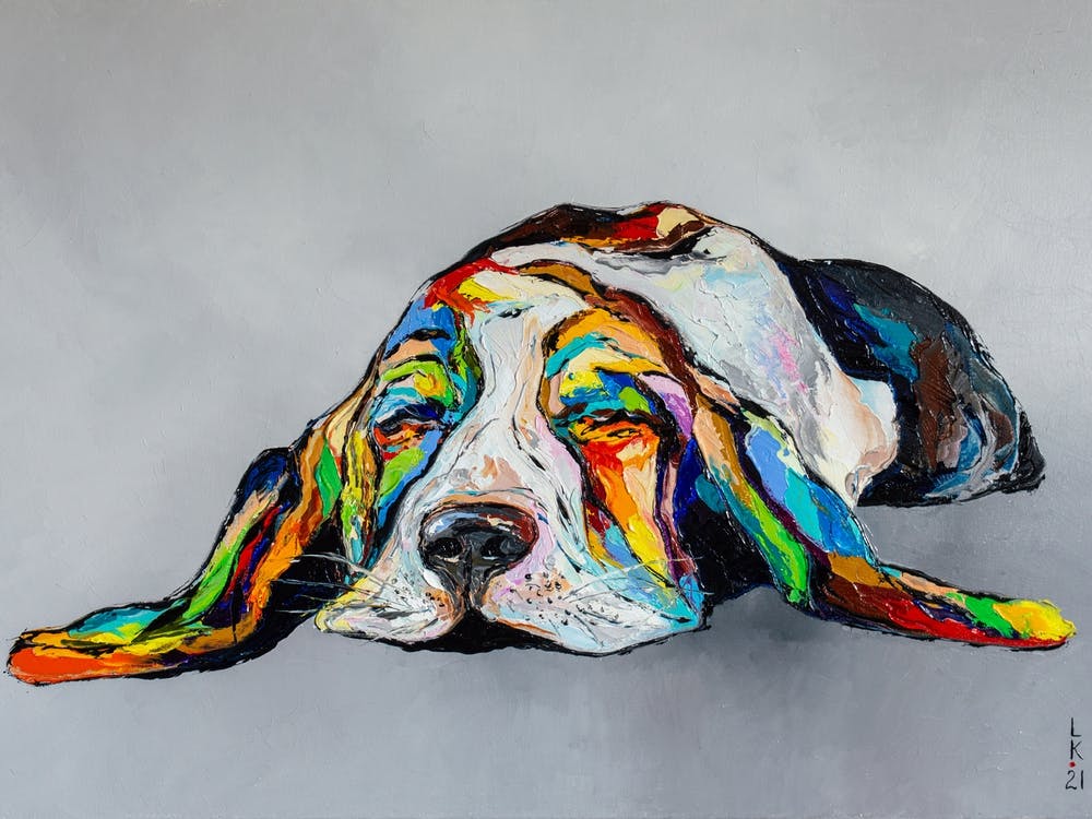 Dreaming Basset Hound
