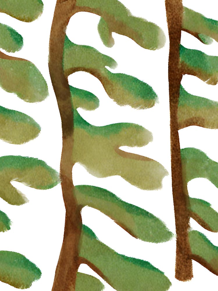 Pine Trees