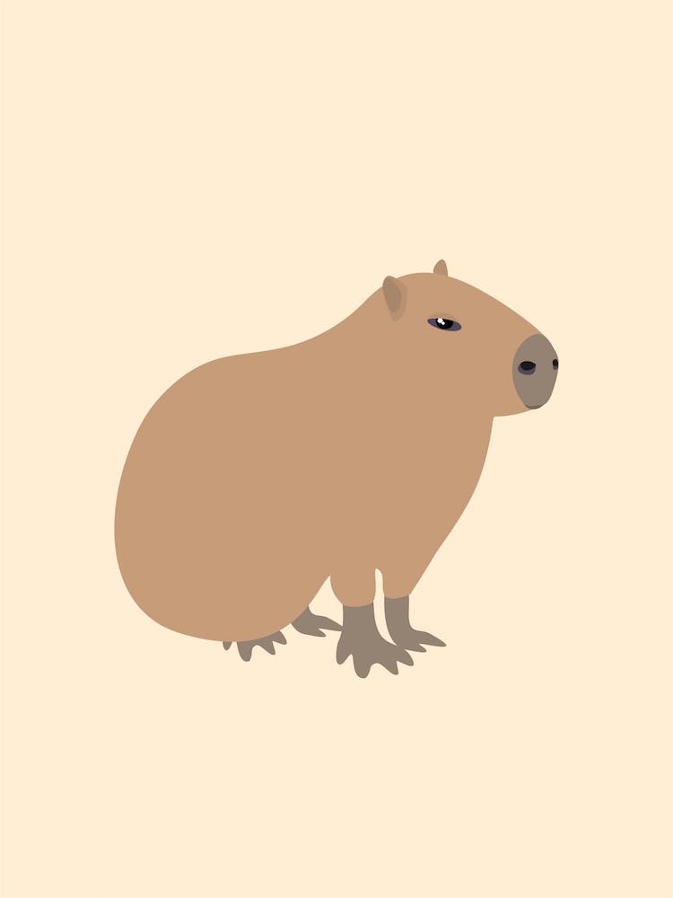 Capybara Cute Minimalist Animal