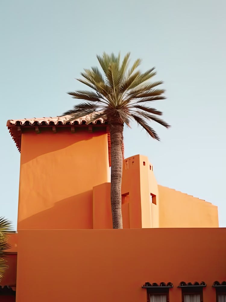 Orange House With Palms Retro Summer Photography 0