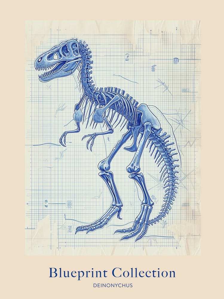 Deinonychus Dinosaur Skeleton Blue Print Style Poster