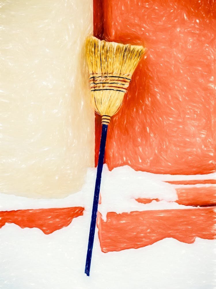 Sweeping Brush In Snow