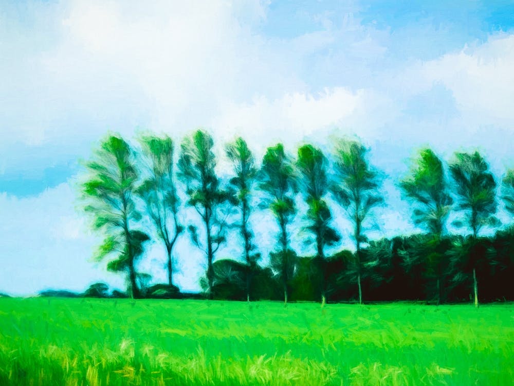 Trees Across A Green Field