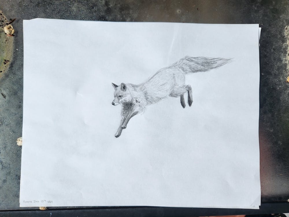 Original fox sketch