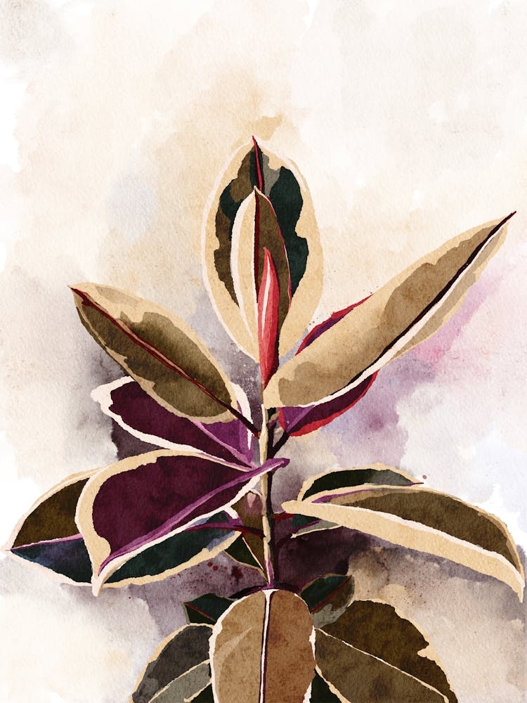 Watercolor Ficus Botanical Leaves 1