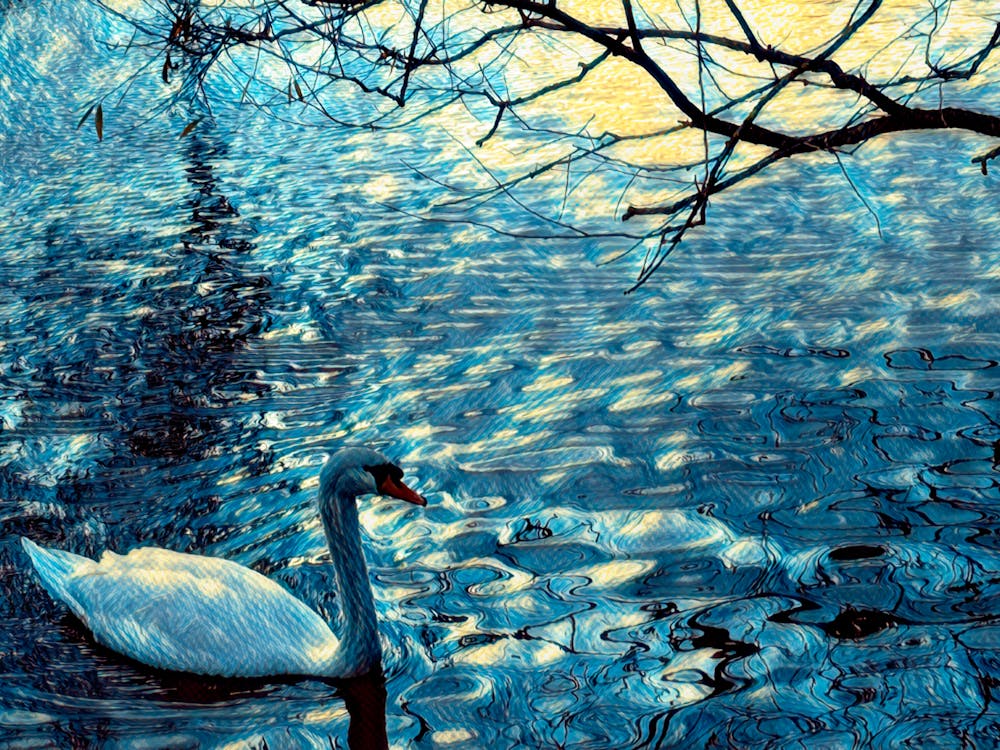 Van Gogh style Swan In Water