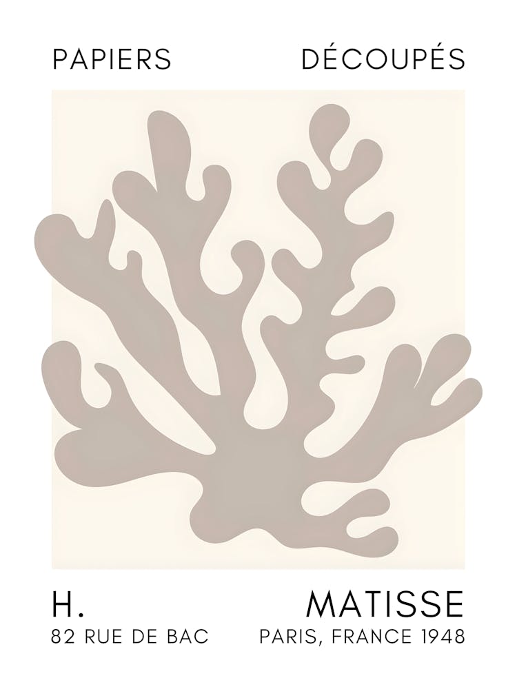 Matisse 32