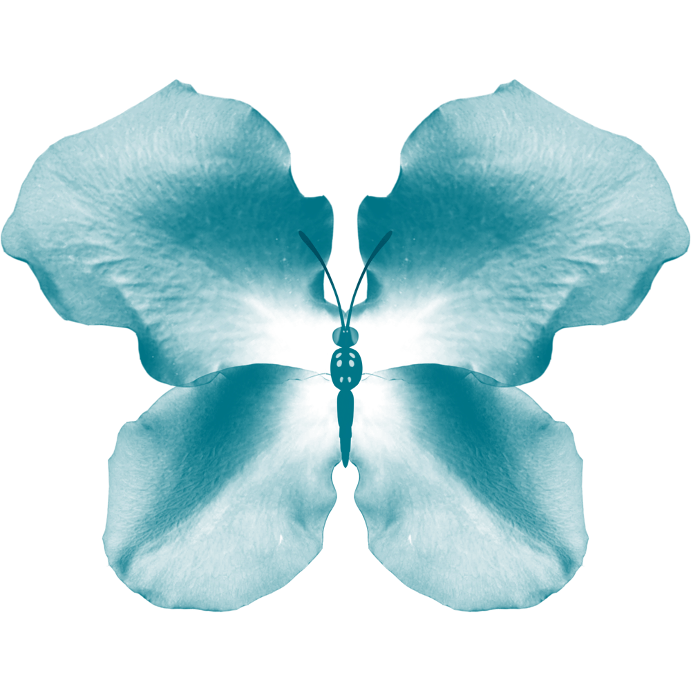 Teal Rose Petal Butterfly