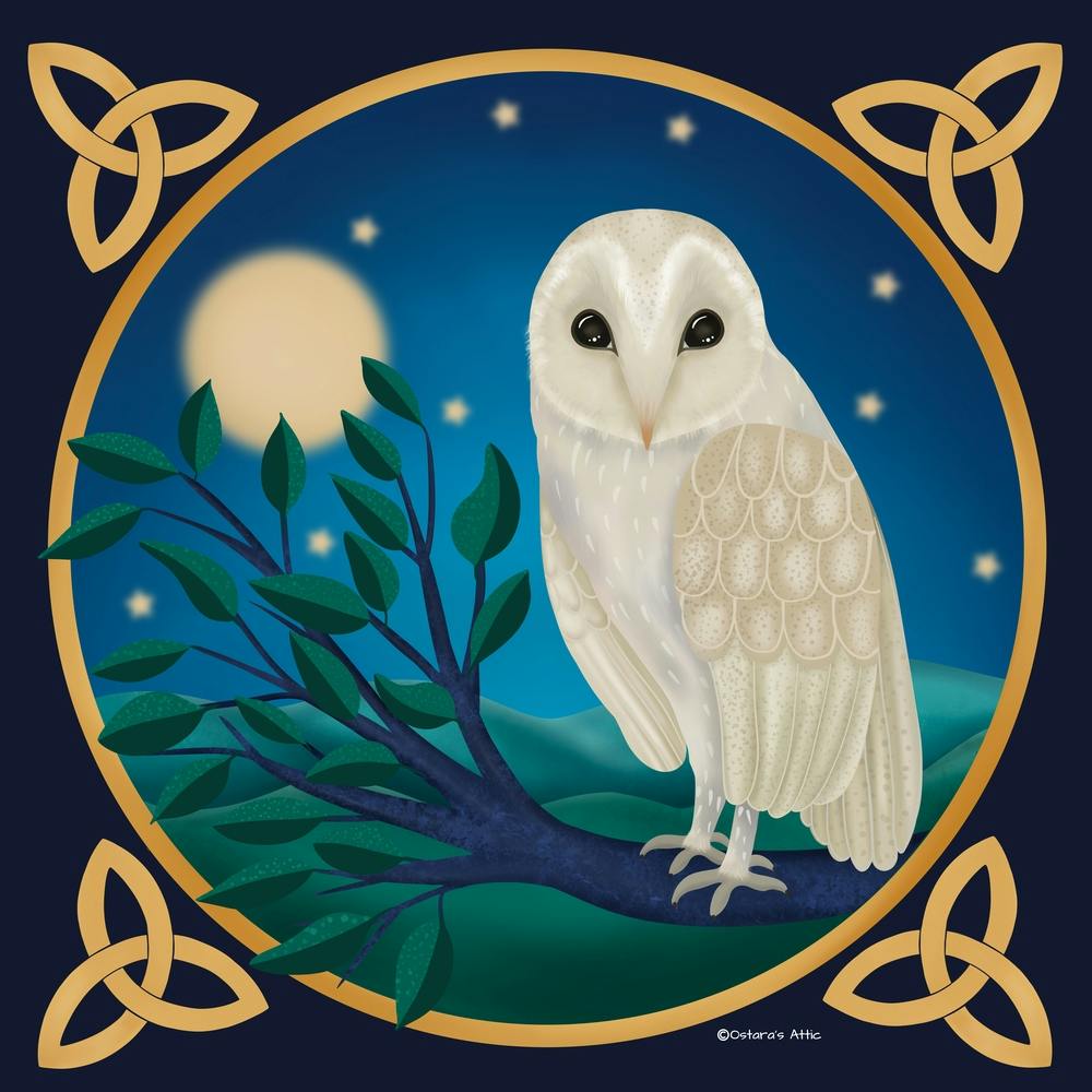 Barn Owl In The Moonlight Square