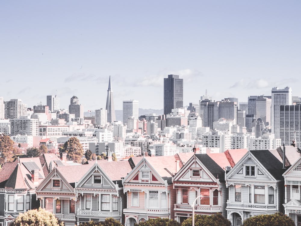 Painted Ladies
