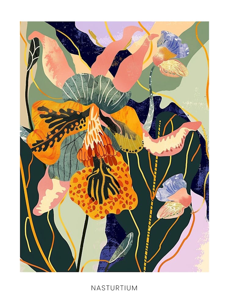 Colourful Flower Illustration Poster Nasturtium 2