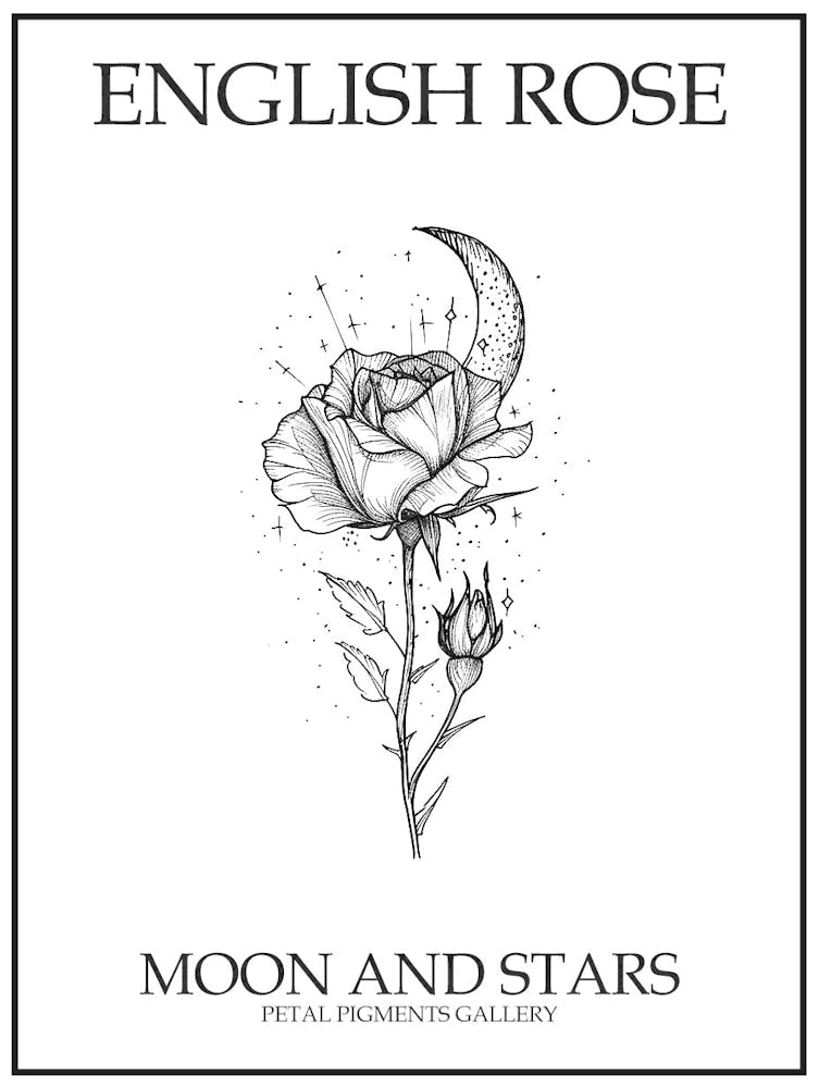 English Rose Moon And Stars Line Drawing 3 Poster