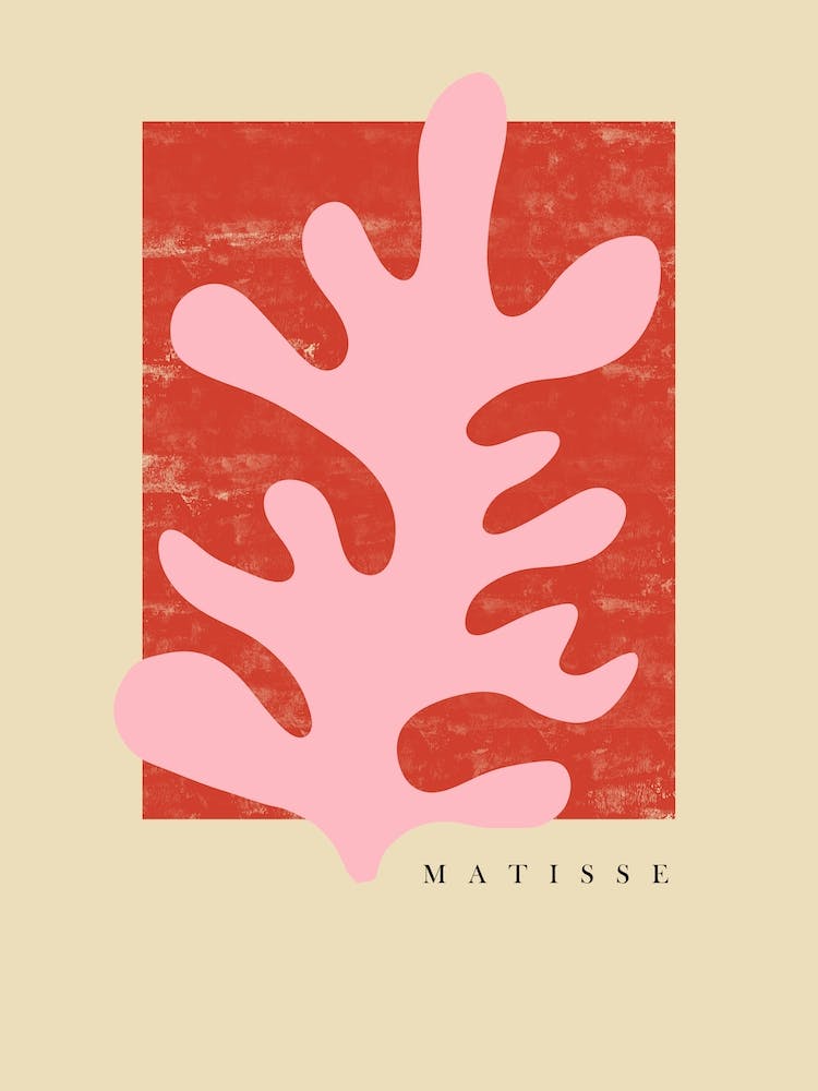Red And Pink Matisse