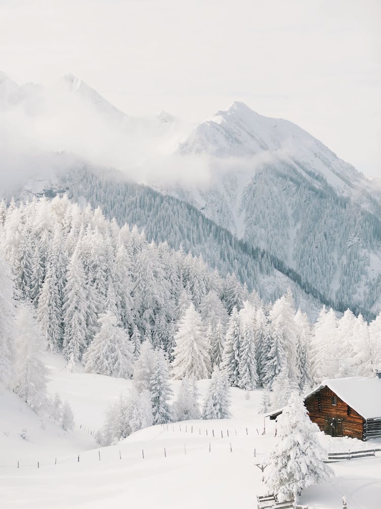 Snowy Mountain Cabin