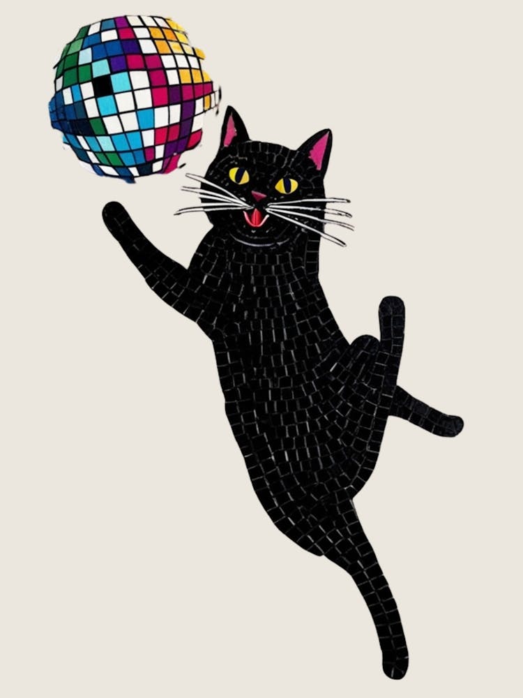 Disco Cat 10
