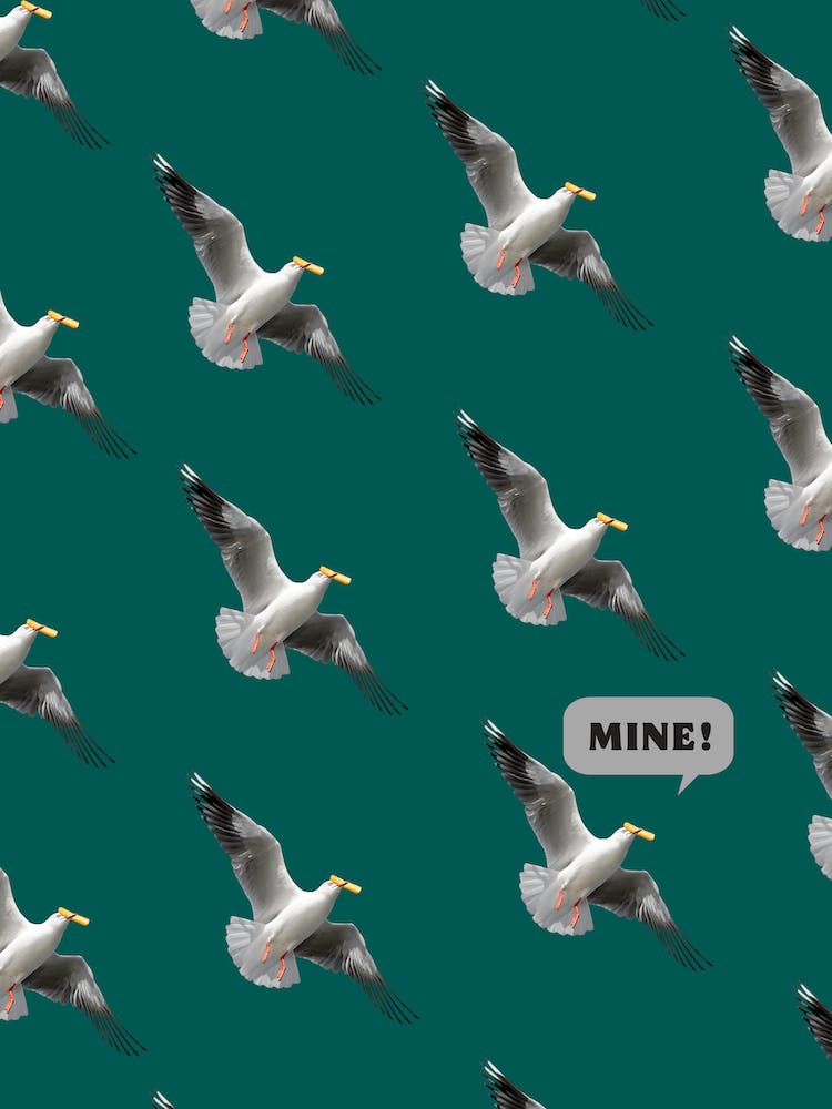 Cheeky Seagull Eating A Chip Coastal Green Print