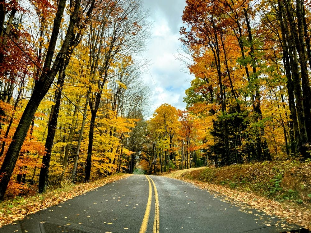 Autumn Road in Maryland