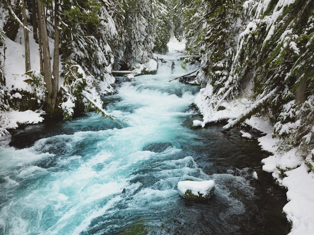 Snowy McKenzie River Pacific Northwest Oregon