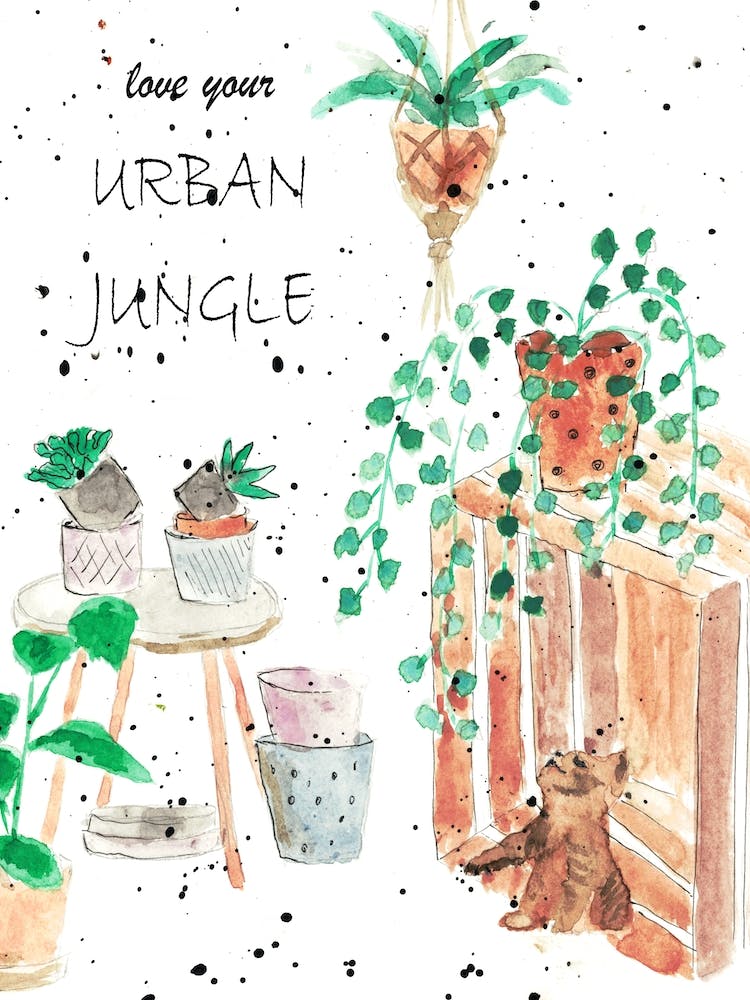 Urban Jungle