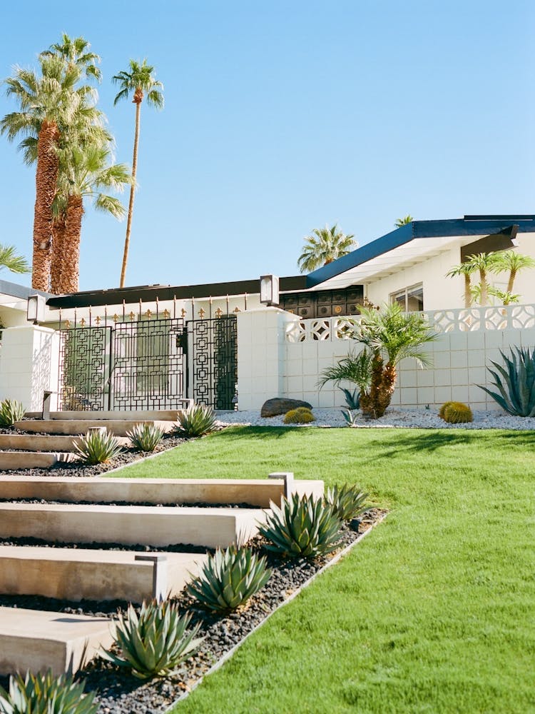 Palm Springs Architecture IV on Film