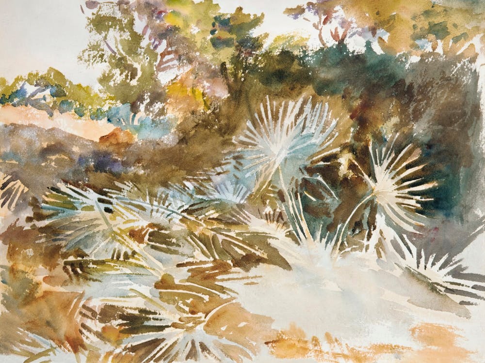 Landscape With Palmettos (1917), John Singer Sargent