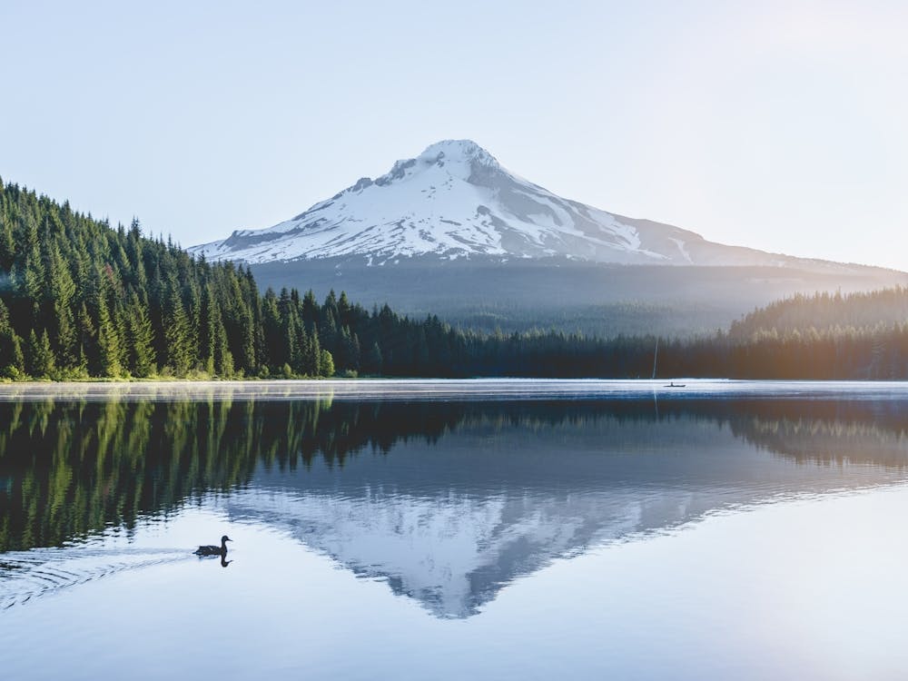 Mount Hood Oregon Reflection Lake