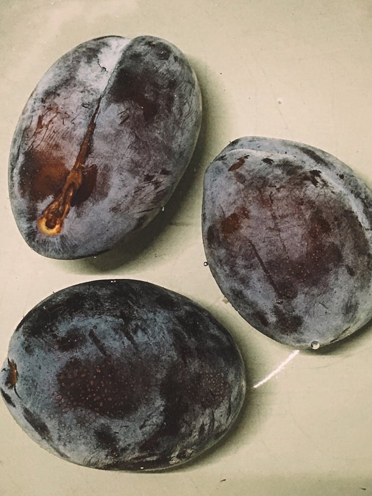 Plums Dance