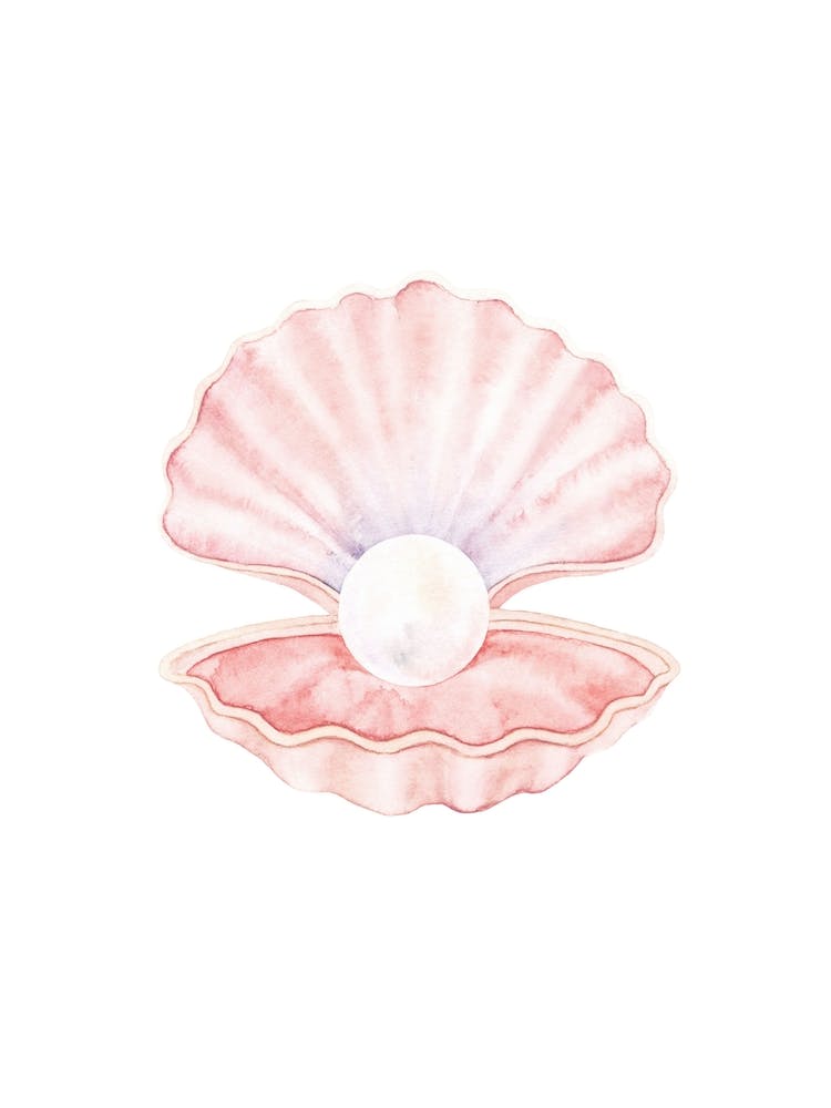 Pearl Shell