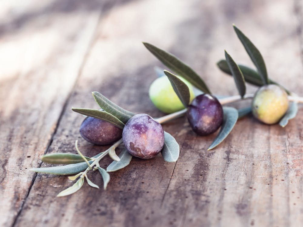Green and black olive fruits branch on rustic wooden table mediterranean culture