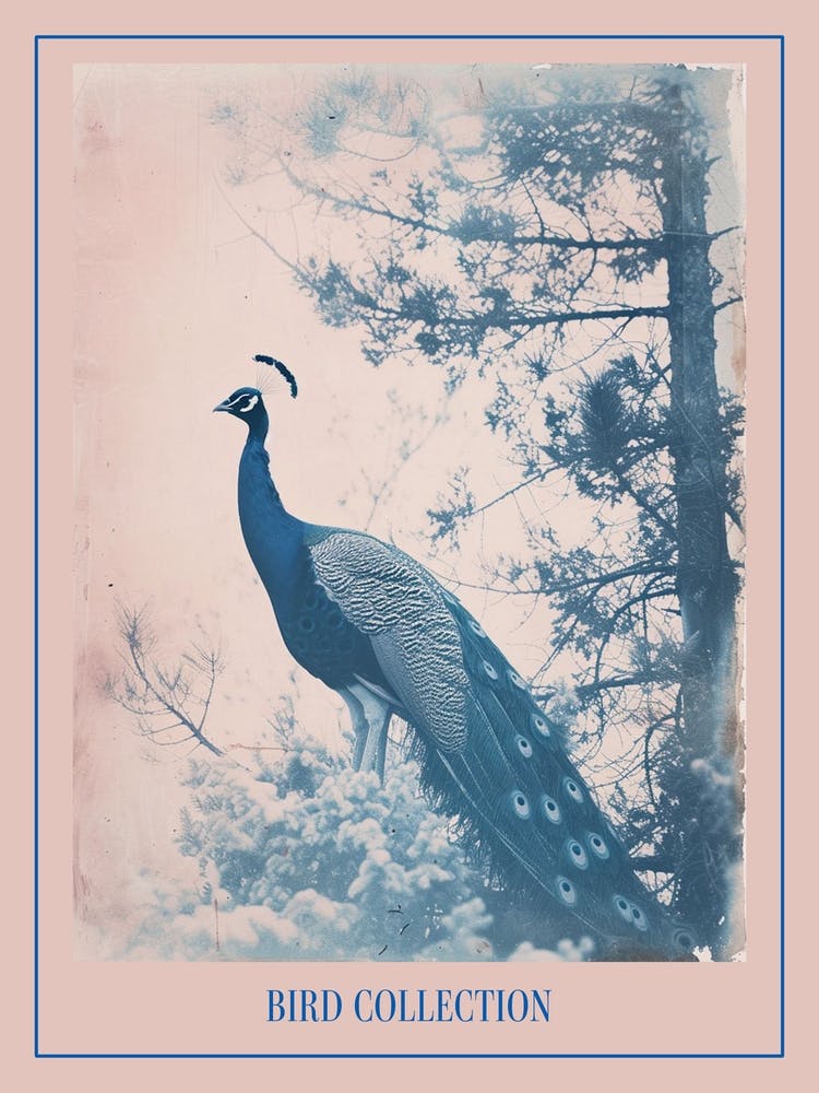 Peacock In The Snowy Tree Cyanotype Poster