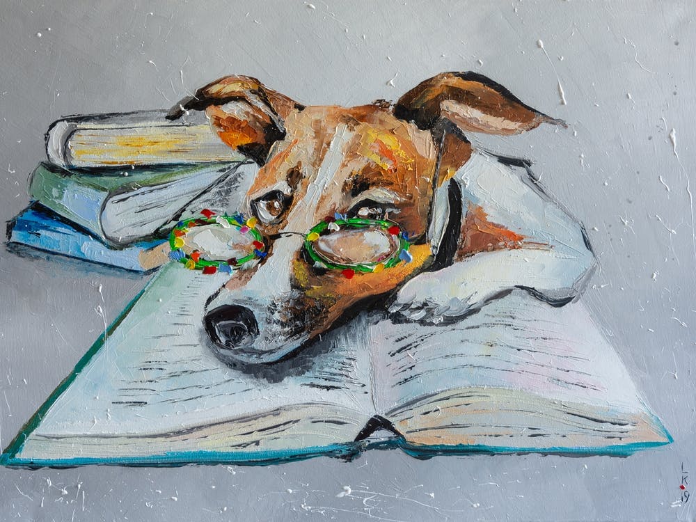 I Really Love Reading