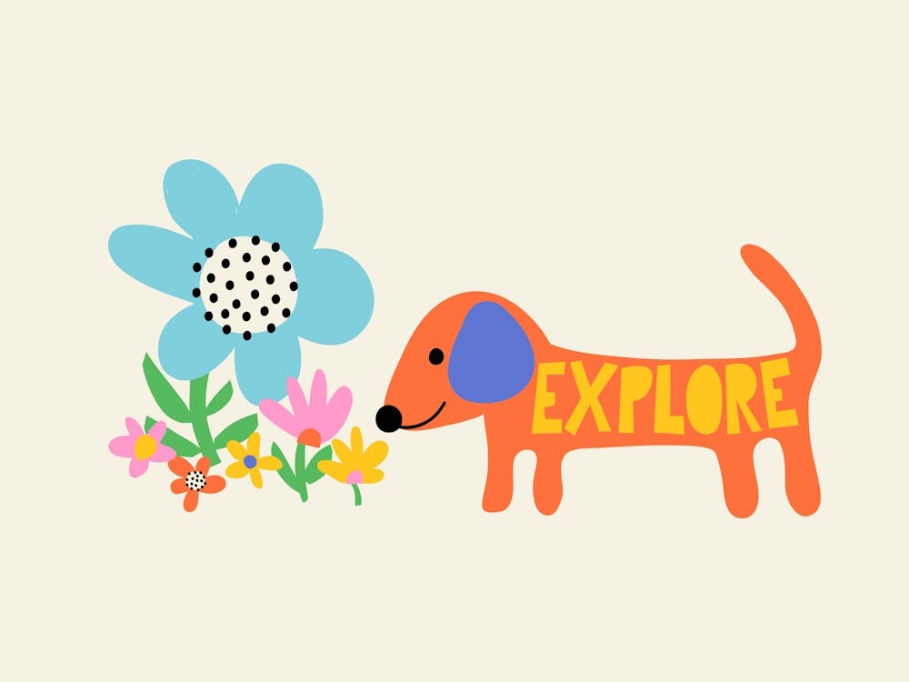 Playful Meadow Explore Dachshund Dog and Wild Flowers Illustration Kids