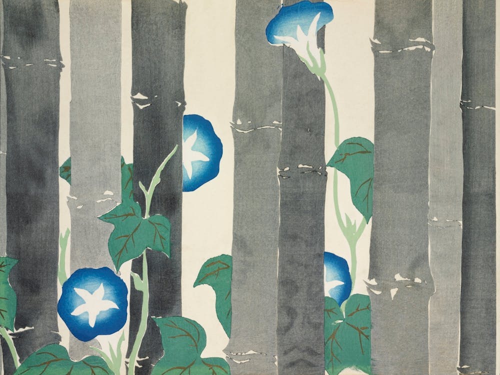 Morning Glories From Momoyogusa –Flowers Of A Hundred Generations (1909), Kamisaka Sekka