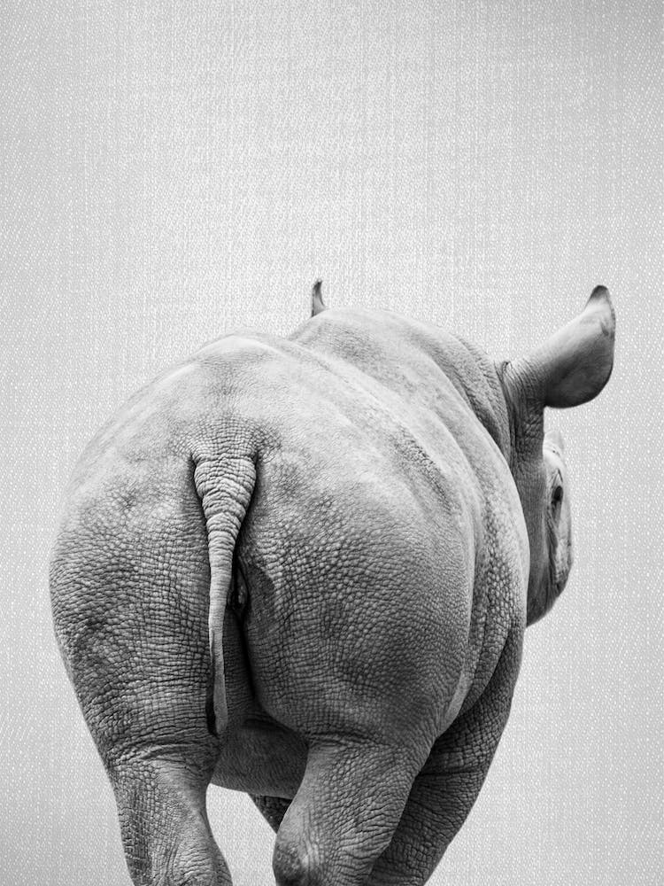 Rhino Tail - Black & White
