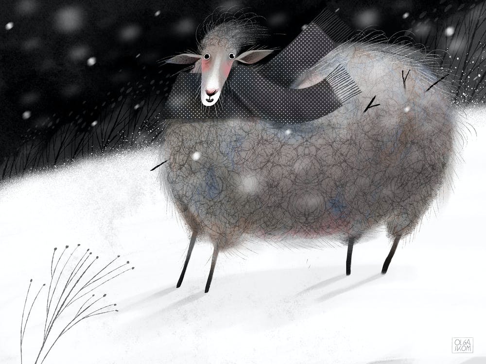 Winter sheep