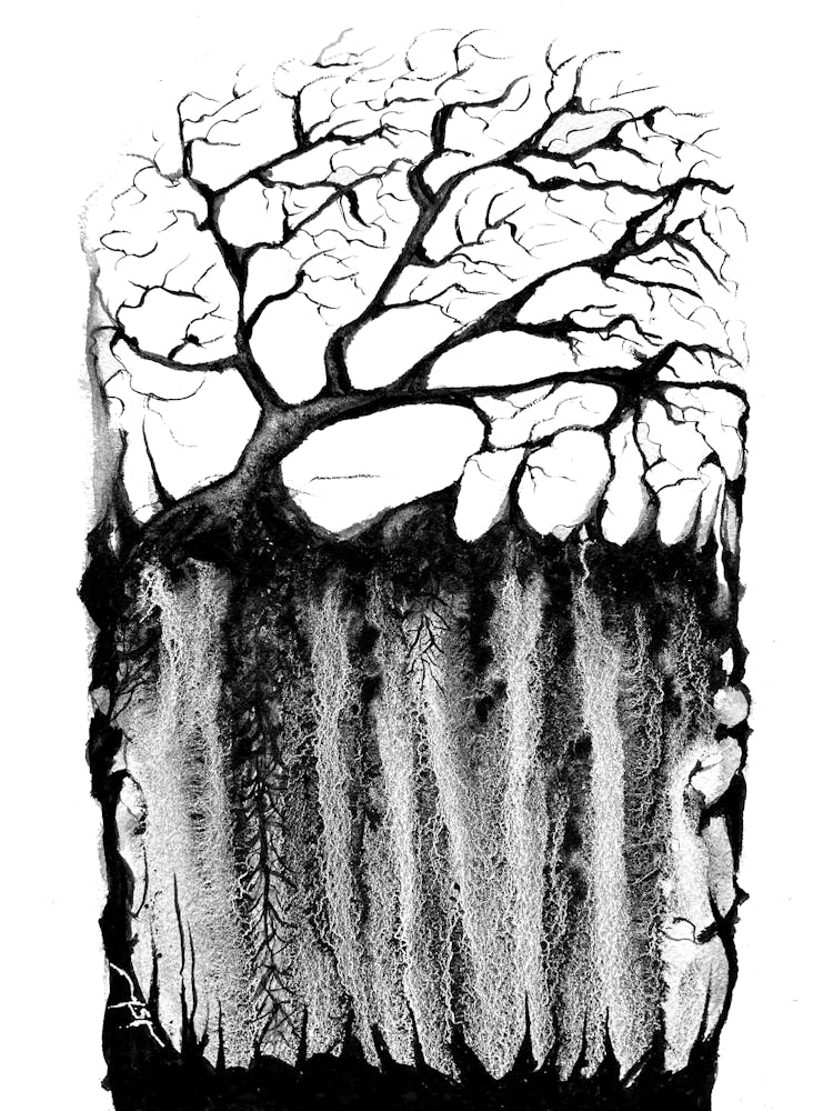 Rooted, Watercolor on cotton paper