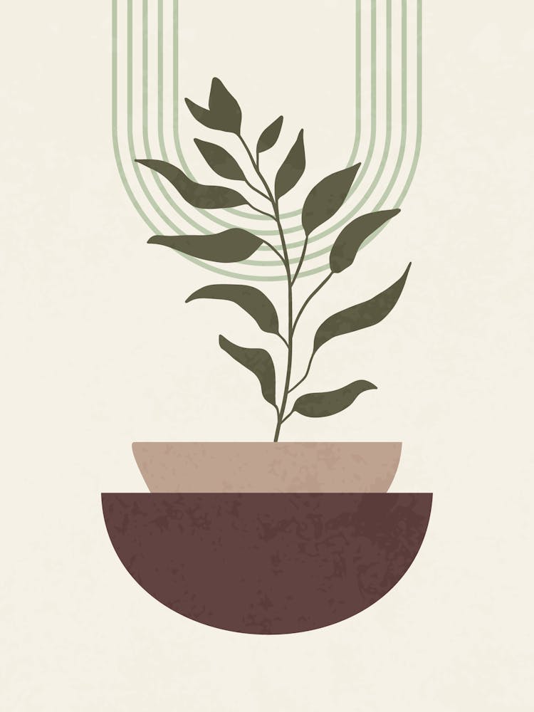 Minimalist Botanical Art