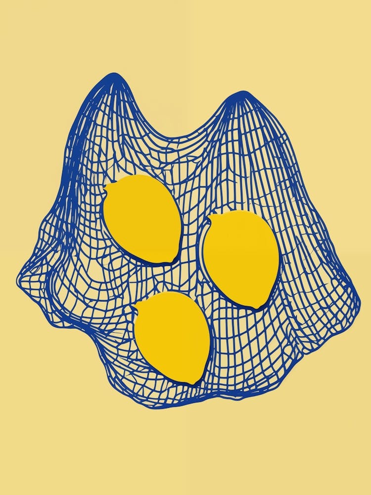 Lemons In A Net