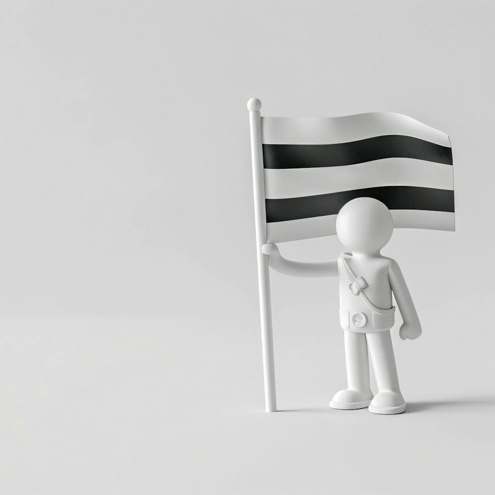 3d Person Holding A Flag